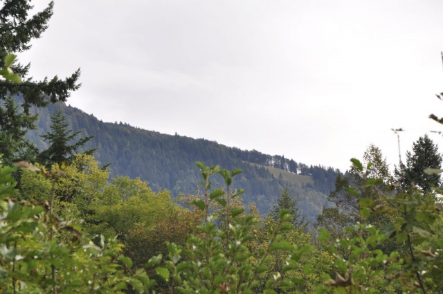 20191005_HIKEFLYPIKAPotoska-32